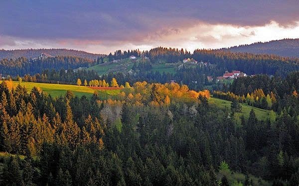 jesen na Zlatiboru – livade i šuma u jesenjim tonovima